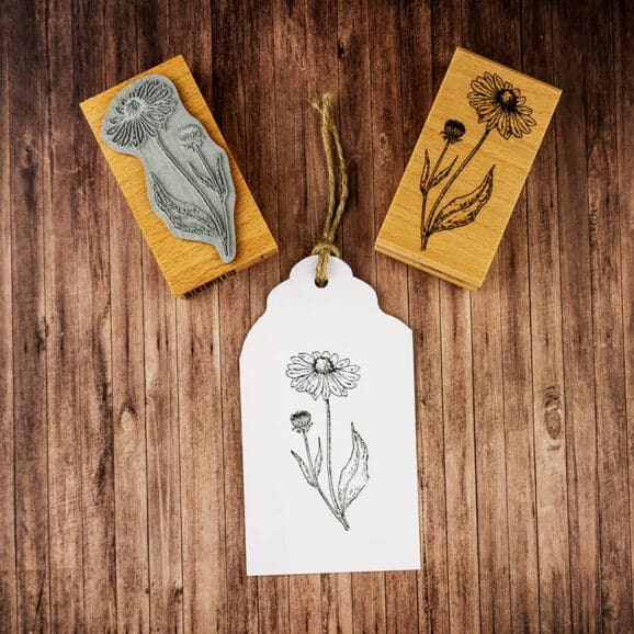 f048-echinacea-newstamps-webshop-stempel-foto