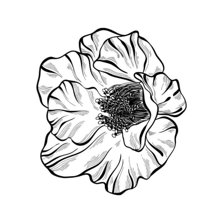 Stempel Mohnblume | 100% Handmade von Newstamps