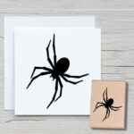 Spinne