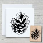 W010_Kiefernzapfen_Webshop