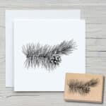 W011_Kiefernast_Webshop