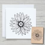 f046-echinacea-bluete-newstamps-webshop-stempel-haupt