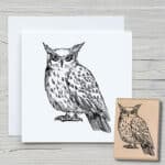 t016-eule-02-newstamps-webshop-stempel-haupt