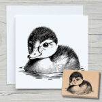 t021-entenkueken-newstamps-webshop-stempel-haupt