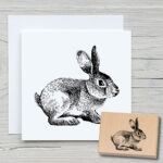 t024-haeschen-01-newstamps-webshop-stempel-haupt