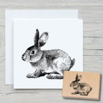 t025-haeschen-02-newstamps-webshop-stempel-haupt