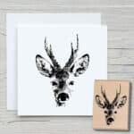 t032-rehkopf-newstamps-webshop-stempel-haupt