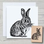 t040-kaninchen-newstamps-webshop-stempel-haupt.jpg