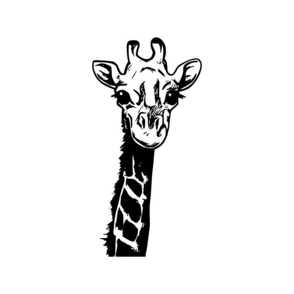 t043-giraffe-newstamps-webshop-stempel-weiss