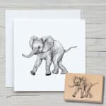t076-elefantenbaby-newstamps-webshop-stempel-haupt