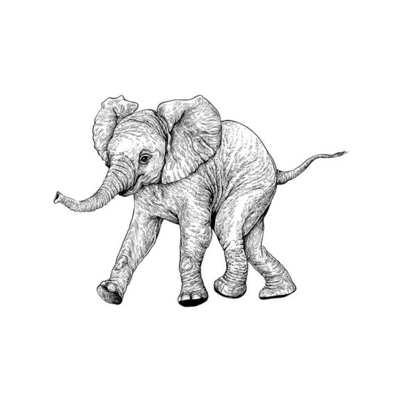 t076-elefantenbaby-newstamps-webshop-stempel-weiss